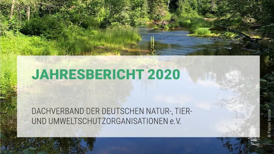 Jahresbericht 2020